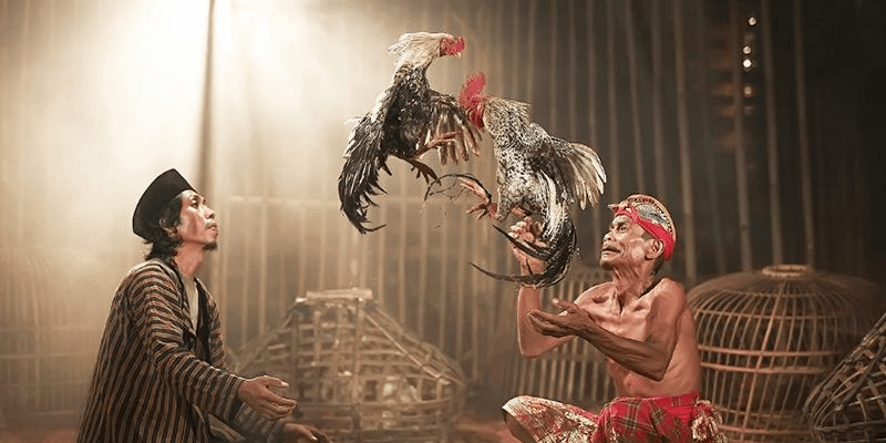 Cách làm nước cho gà chọi với hướng dẫn đầy đủ từ A đến Z Anh em chuẩn bị đầy đủ dụng cụ tiến hành cách làm nước cho gà chọi