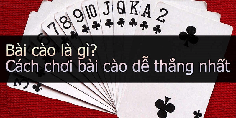 TOP 1 cách chơi bài cào luôn thắng Bài cào (Cào Rùa hoặc Xì Dách Cào) là game bài phổ biến