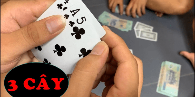 Top 3 cách chơi 3 cây luôn thắng Mẹo chia bài 3 cây được 9 nút