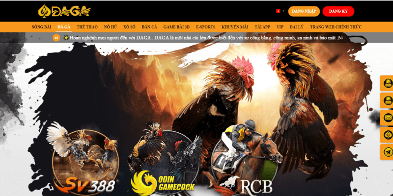 TRANG CHỦ Đá gà là sảnh game không thể thiếu tại nhà cái Daga