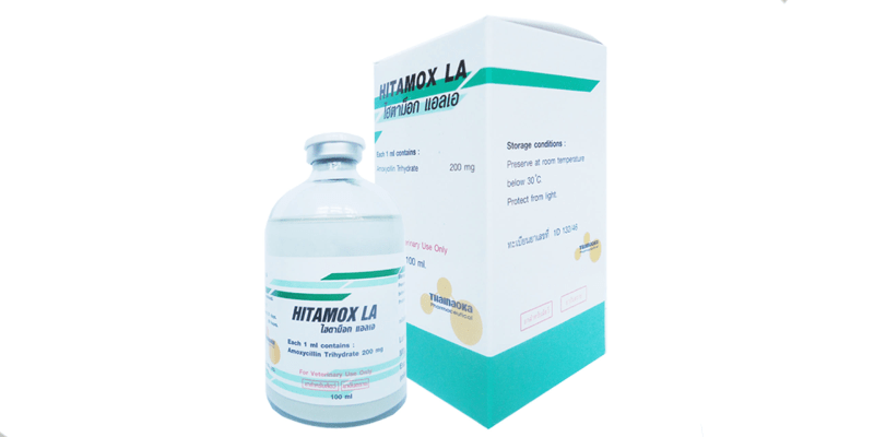 Tổng hợp 7 thuốc nuôi gà đá được ưa chuộng hàng đầu hiện nay Thuốc Hitamox LA được nhiều sư kê lựa chọn